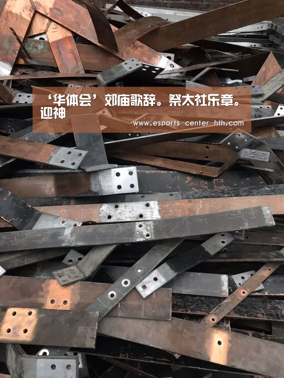 华体会app