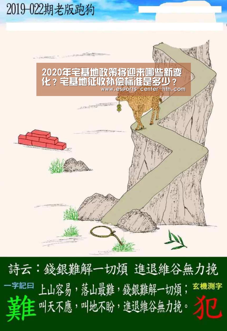 棋牌赛事