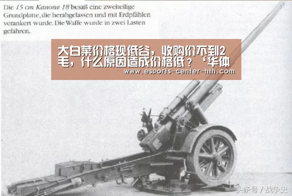 大白菜价格现低谷，收购价不到2毛，什么原因造成价格低？‘华体会’
